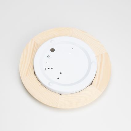 Rabalux - Plafonsko svetlo 1xE27/60W/230V prečnik 30 cm