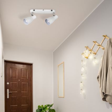 Rabalux - Spot svetiljka 2xE27/20W/230V