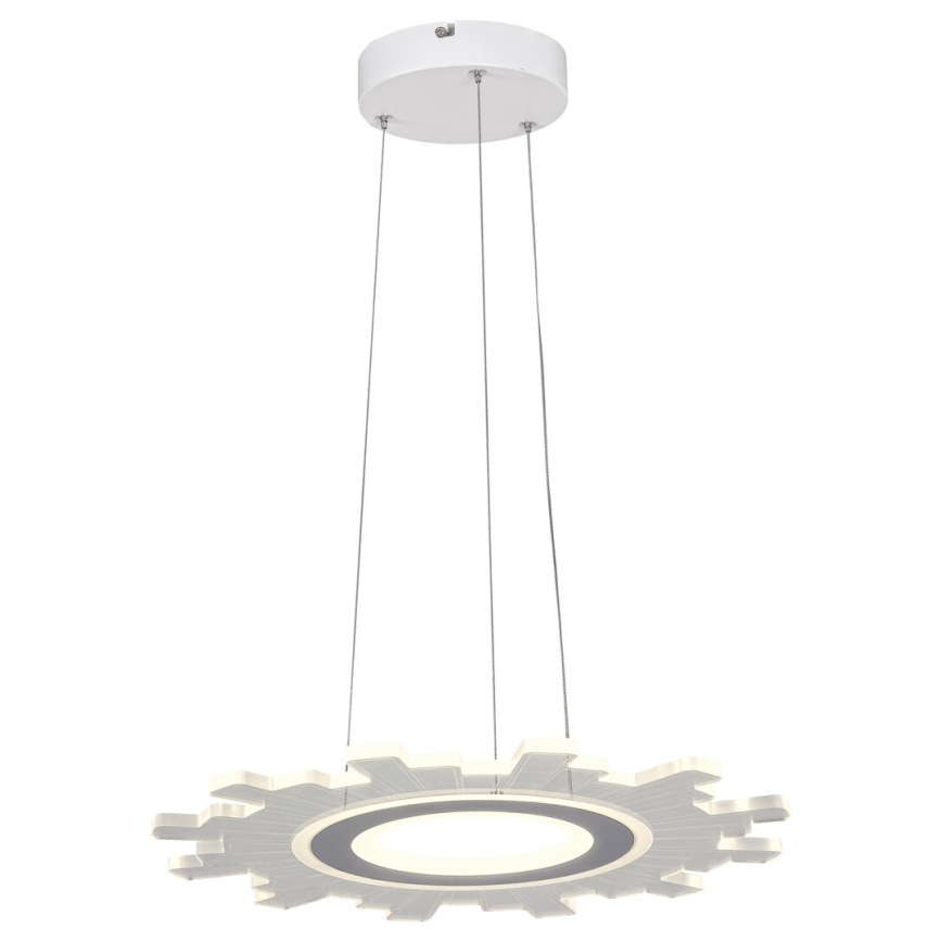 Rabalux - LED luster na sajli FELICITY LED/30W/230V