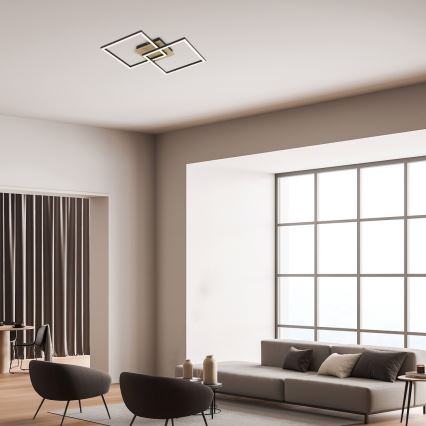 Rabalux - LED plafonsko svetlo LED/24W/230V 40x40 cm