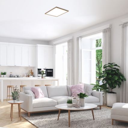 Rabalux - LED površinski panel LED/40W/230V 4000K