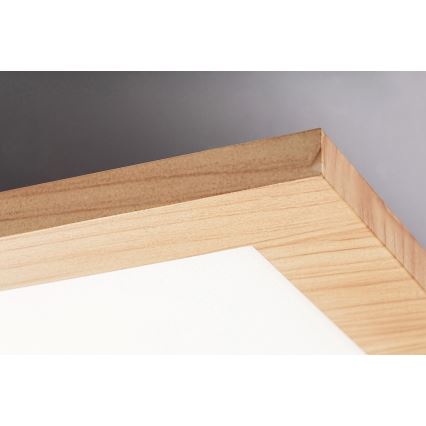 Rabalux - LED površinski panel LED/40W/230V 4000K