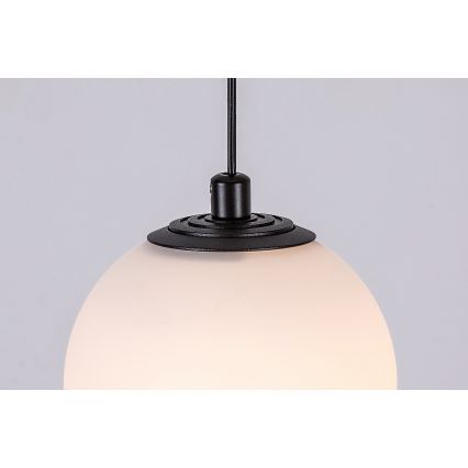 Rabalux - LED luster na sajli za 1-fazni šinski sistem, LED 5 W / 24 V, 3000 K, crna