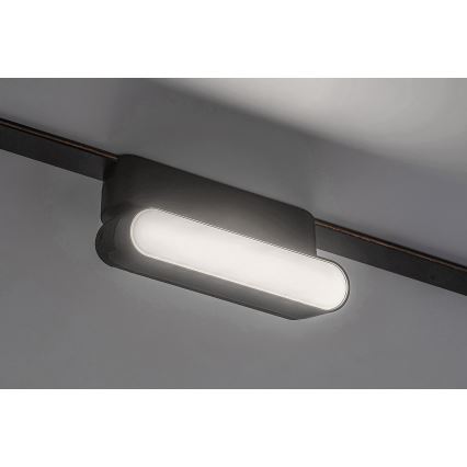 Rabalux - LED plafonsko svetlo za jednofazni šinski sistem LED/6W/24V 4000K 11,5 cm crna