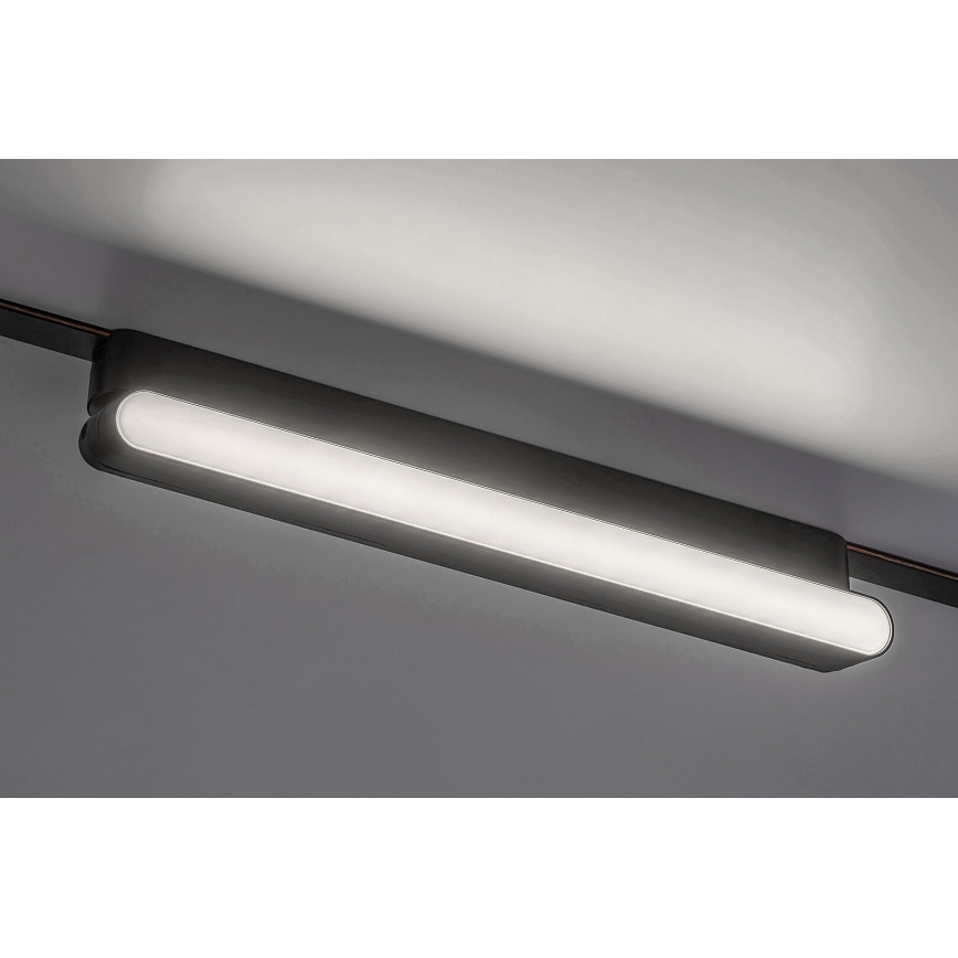 Rabalux - LED plafonsko svetlo za 1-fazni šinski sistem LED/16W/24V 4000K 33 cm crna