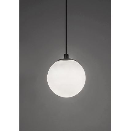 Rabalux - LED luster na sajli za jednofazni šinski sistem LED/5W/24V 4000K crna
