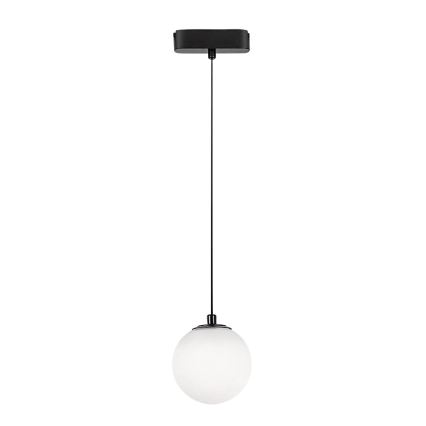 Rabalux - LED luster na sajli za jednofazni šinski sistem LED/5W/24V 4000K crna