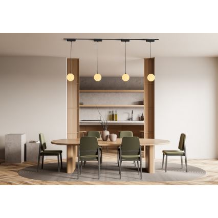 Rabalux - LED prigušiva luster na sajli za jednofazni šinski sistem LED/5W/24V 2700-5500K Wi-Fi Tuya crna