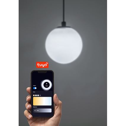 Rabalux - LED prigušiva luster na sajli za jednofazni šinski sistem LED/5W/24V 2700-5500K Wi-Fi Tuya crna