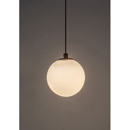 Rabalux - LED prigušiva luster na sajli za jednofazni šinski sistem LED/5W/24V 2700-5500K Wi-Fi Tuya crna