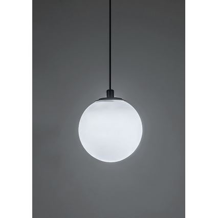 Rabalux - LED prigušiva luster na sajli za jednofazni šinski sistem LED/5W/24V 2700-5500K Wi-Fi Tuya crna