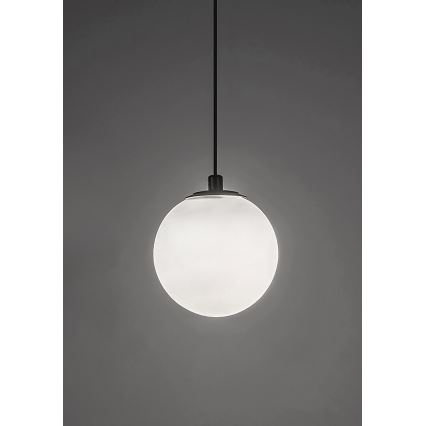 Rabalux - LED prigušiva luster na sajli za jednofazni šinski sistem LED/5W/24V 2700-5500K Wi-Fi Tuya crna