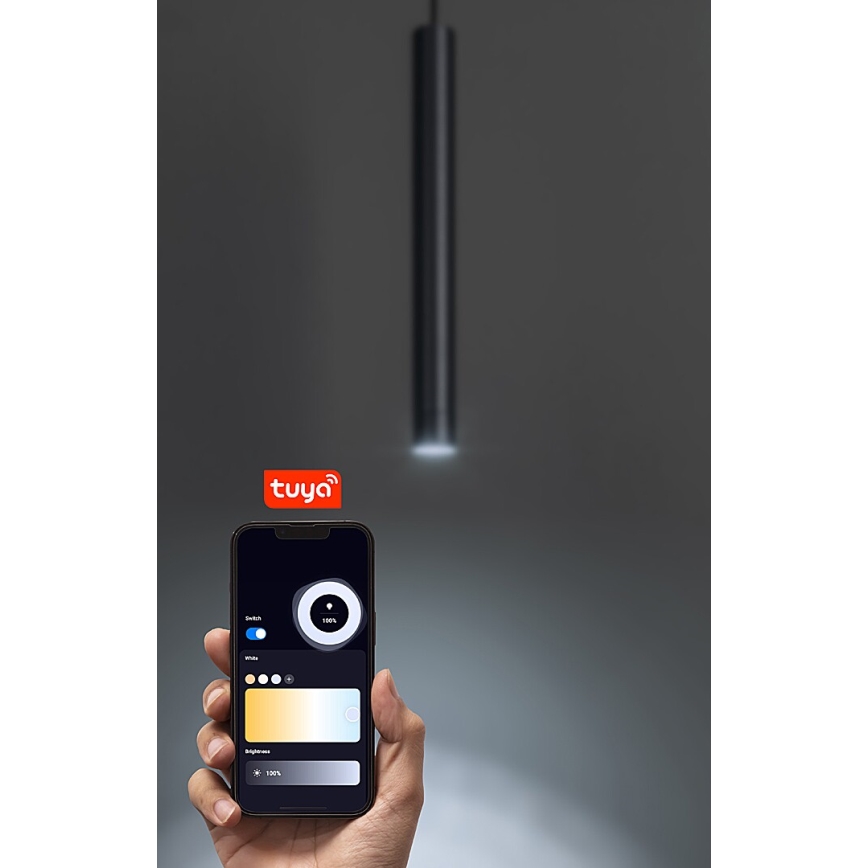 Rabalux - LED prigušiva luster na sajli za 1-fazni šinski sistem LED/5W/24V 2700-5500K Wi-Fi Tuya crna