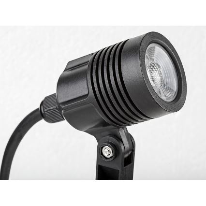 Rabalux - Spoljašnja LED lampa LED/3W/230V IP65
