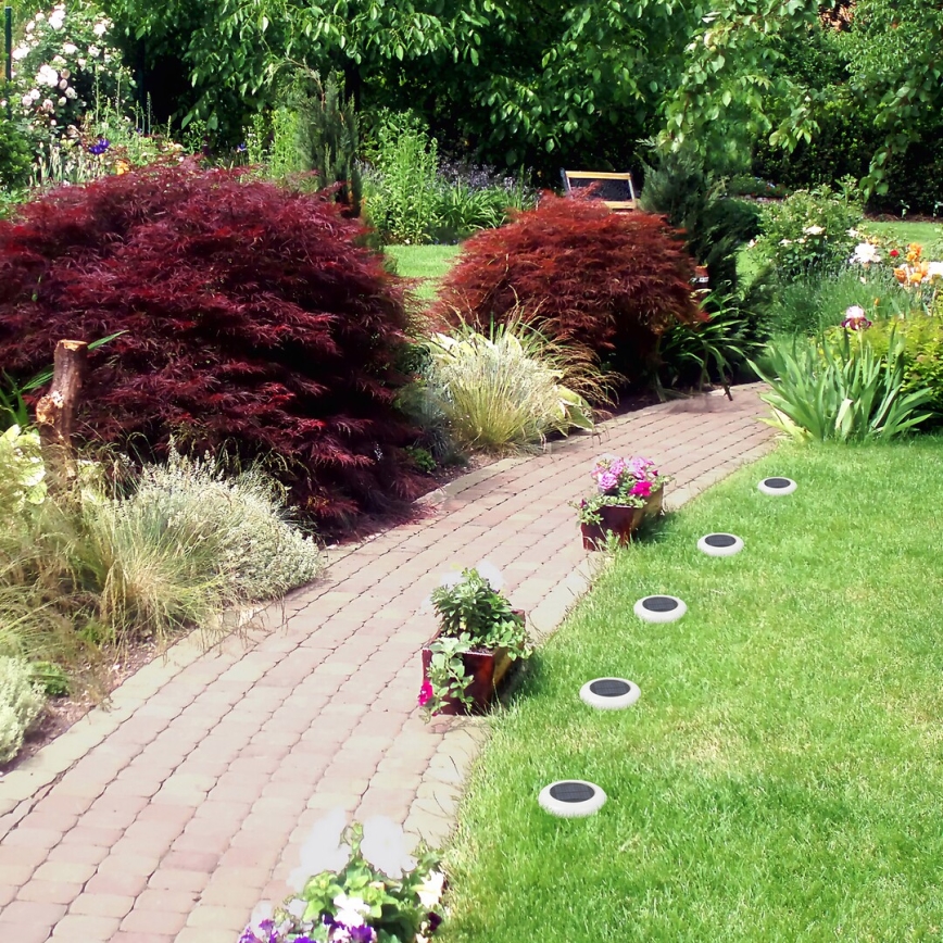 Rabalux - LED RGB Solarno svetlo LED/0,6W/3,7V IP65 1200 mAh