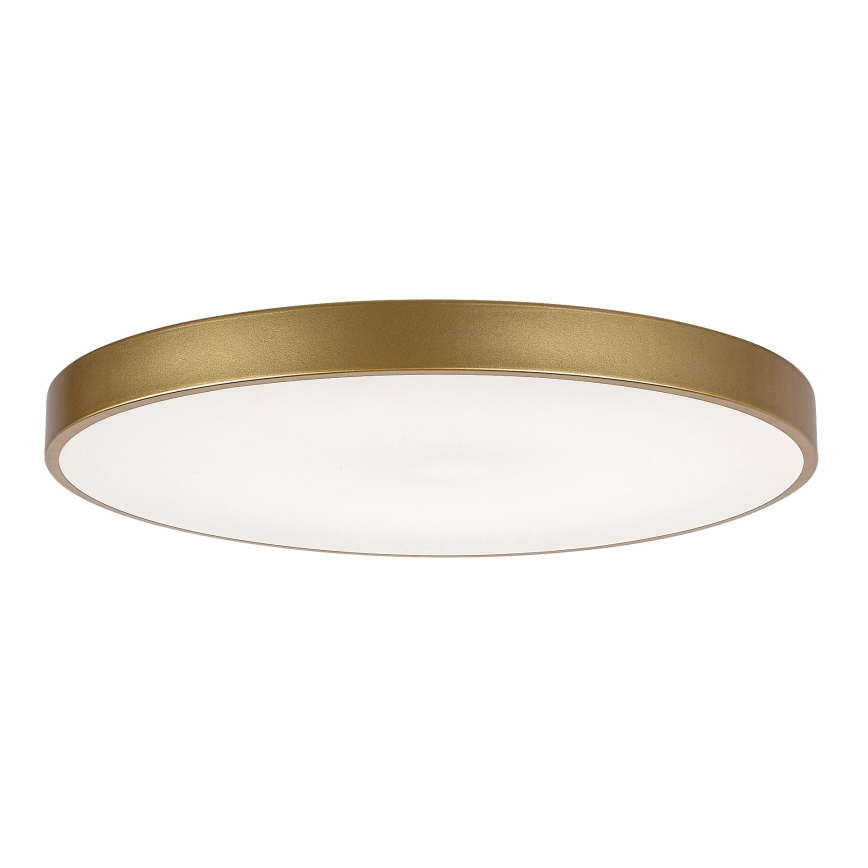 Rabalux - prigušiva LED stropna svetiljka LED/60W/230V 3000-6000K + daljinski upravljač, prečnik 60 cm