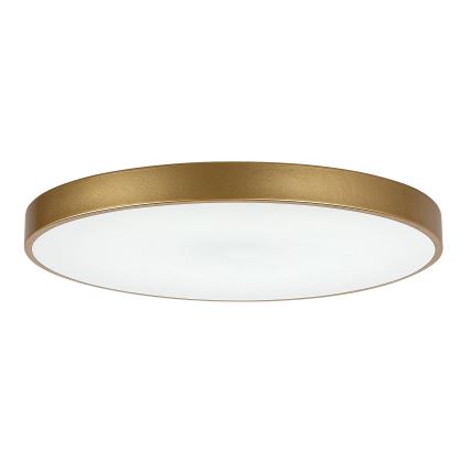 Rabalux - prigušiva LED stropna svetiljka LED/60W/230V 3000-6000K + daljinski upravljač, prečnik 60 cm