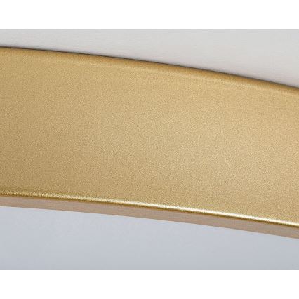 Rabalux - prigušiva LED stropna svetiljka LED/60W/230V 3000-6000K + daljinski upravljač, prečnik 60 cm