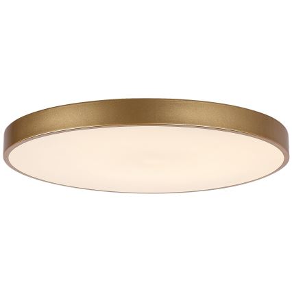 Rabalux - prigušiva LED stropna svetiljka LED/60W/230V 3000-6000K + daljinski upravljač, prečnik 60 cm