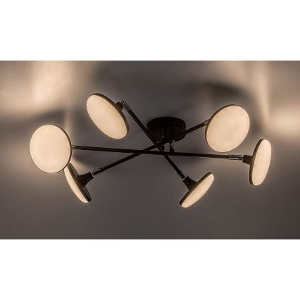 Rabalux - LED plafonski luster 6xLED/4W/230V 3000K crna