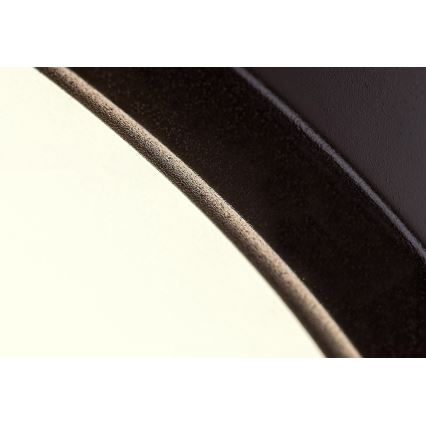 Rabalux - LED plafonsko svetlo LED/24W/230V 4000K pr. 30 cm crno