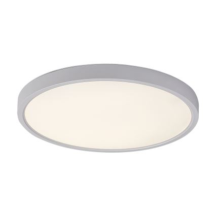 Rabalux - plafonsko LED svetlo 24W/230V 4000K Ø 30 cm, belo