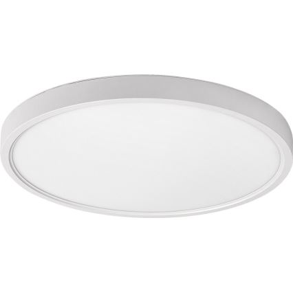Rabalux - plafonsko LED svetlo 24W/230V 4000K Ø 30 cm, belo