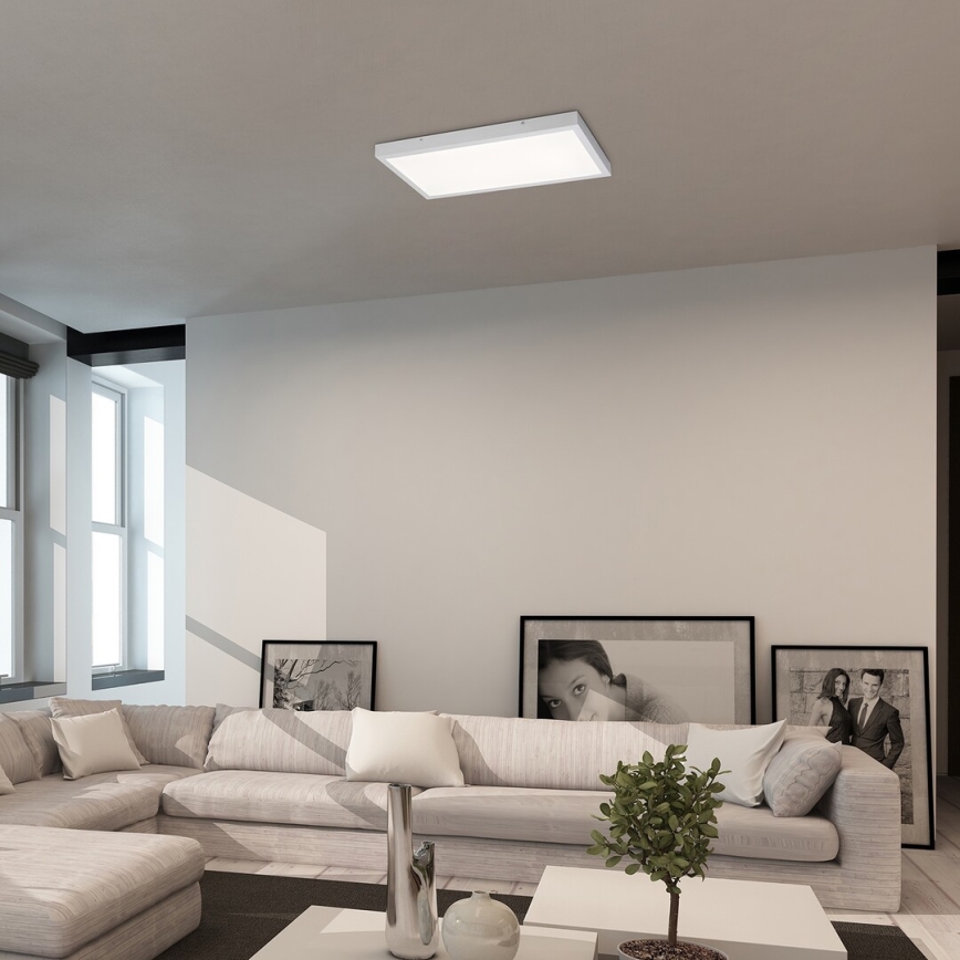 Rabalux - LED nadgradni panel LED/24W/230V 4000K 60x30 cm