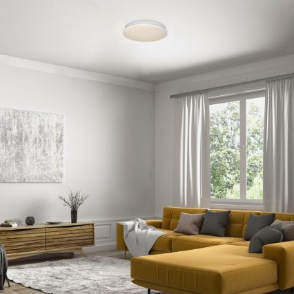 Rabalux - LED plafonsko svetlo 12W/230V 3000K, prečnik 25,5 cm