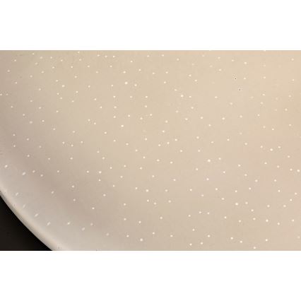 Rabalux - LED plafonsko svetlo LED/12W/230V 4000K prečnik 25,5 cm