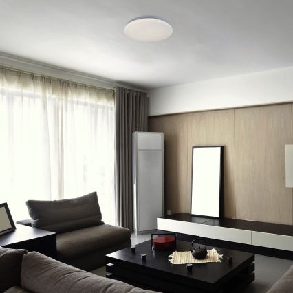 Rabalux - LED plafonsko svetlo LED/18W/230V 4000K prečnik 32 cm
