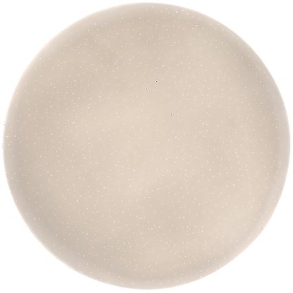 Rabalux - LED plafonsko svetlo LED/24W/230V 4000K prečnik 37,5 cm