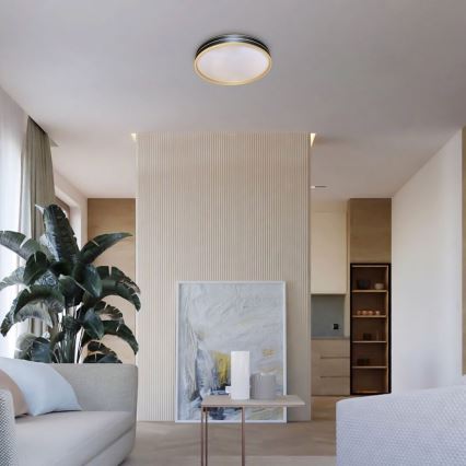 Rabalux - LED prigušiva plafonska svetiljka LED/24W/230V 3000-6500K prečnik 39 cm + daljinski upravljač
