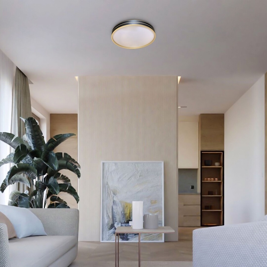 Rabalux - LED prigušiva plafonska svetiljka LED/24W/230V 3000-6500K prečnik 39 cm + daljinski upravljač