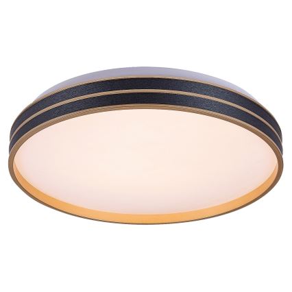 Rabalux - LED prigušiva plafonska svetiljka LED/24W/230V 3000-6500K prečnik 39 cm + daljinski upravljač