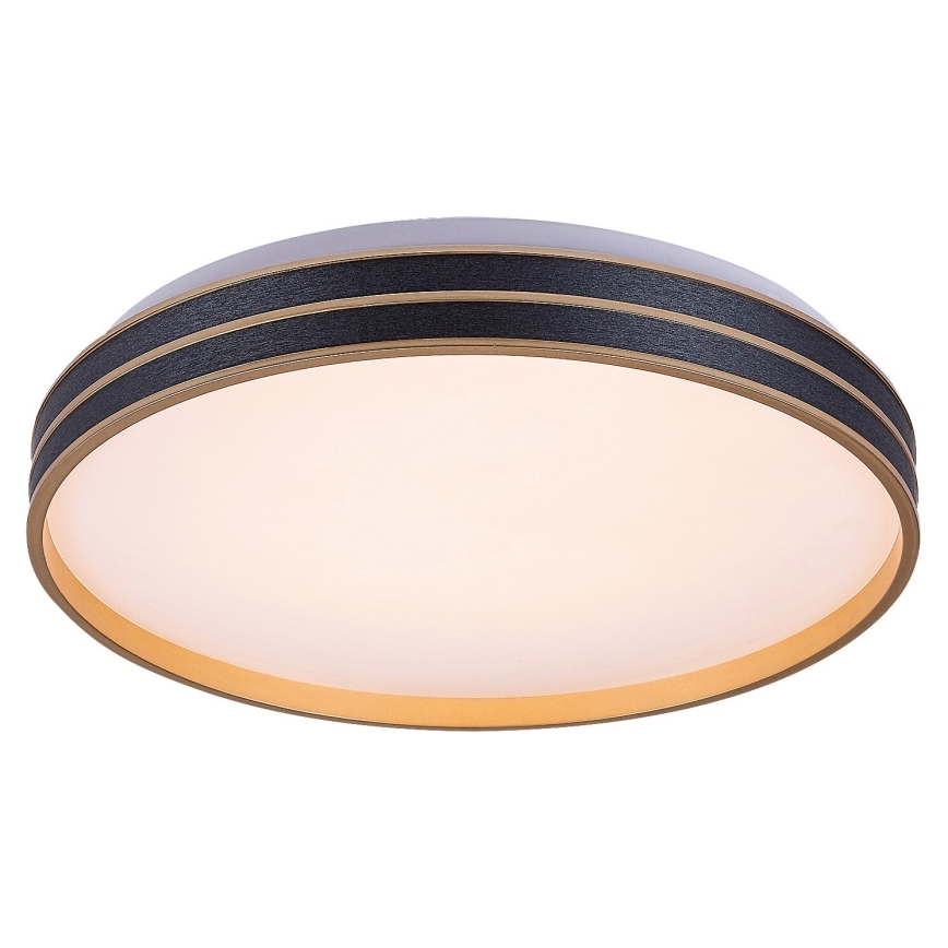 Rabalux - LED prigušiva plafonska svetiljka LED/24W/230V 3000-6500K prečnik 39 cm + daljinski upravljač
