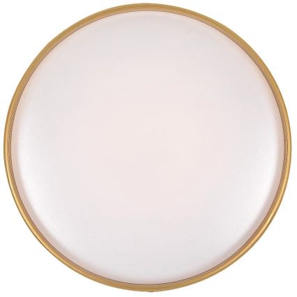 Rabalux - LED prigušiva plafonska svetiljka LED/24W/230V 3000-6500K prečnik 39 cm + daljinski upravljač