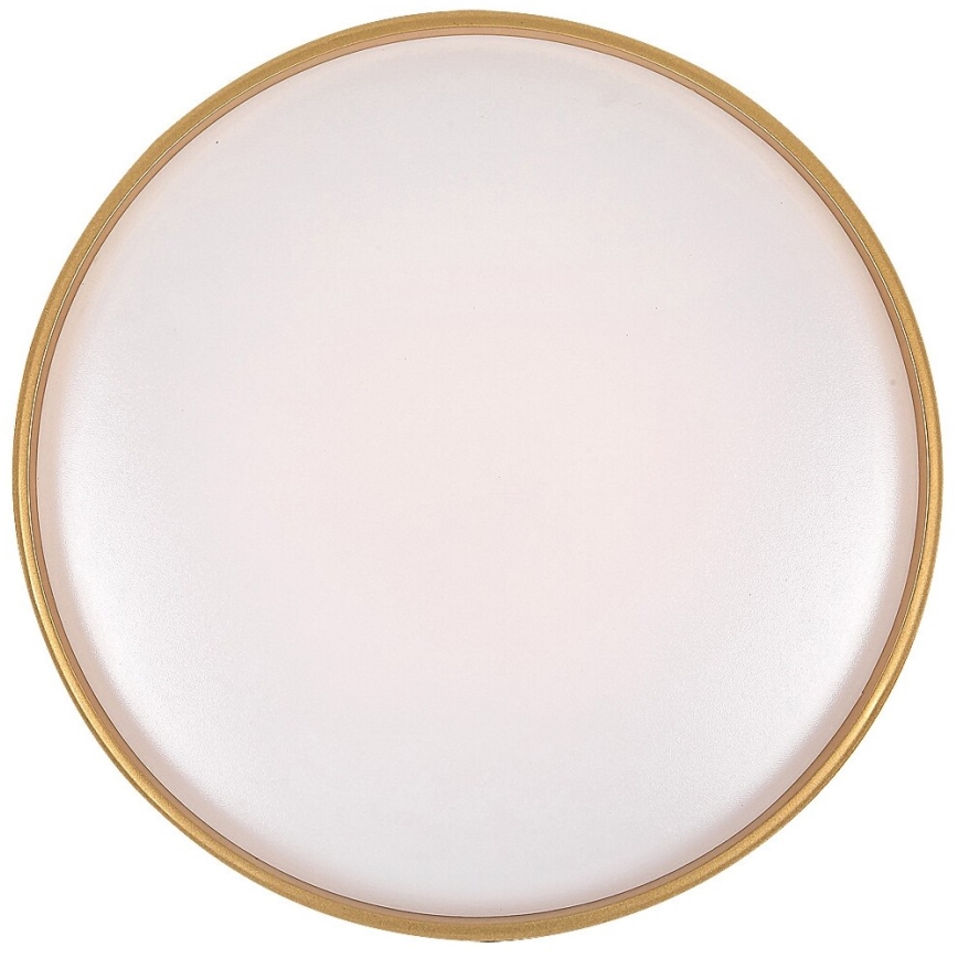 Rabalux - LED prigušiva plafonska svetiljka LED/24W/230V 3000-6500K prečnik 39 cm + daljinski upravljač
