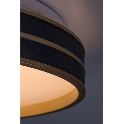 Rabalux - LED prigušiva plafonska svetiljka LED/24W/230V 3000-6500K prečnik 39 cm + daljinski upravljač