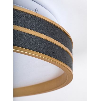 Rabalux - LED prigušiva plafonska svetiljka LED/24W/230V 3000-6500K prečnik 39 cm + daljinski upravljač