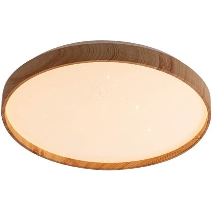 Rabalux - LED plafonsko svetlo LED/24W/230V 3000K prečnik 38 cm