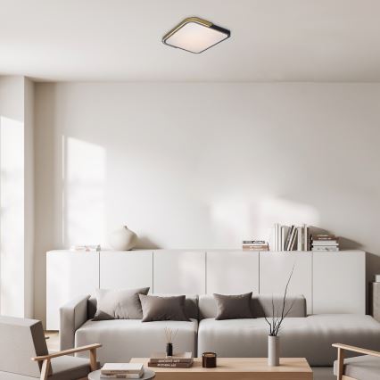Rabalux - LED RGB prigušiva stropna svetiljka LED/48W/230V 3000K/4000K/6500K Wi-Fi Tuya + daljinski upravljač