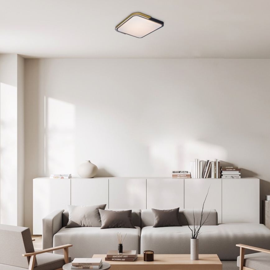 Rabalux - LED RGB prigušiva stropna svetiljka LED/48W/230V 3000K/4000K/6500K Wi-Fi Tuya + daljinski upravljač
