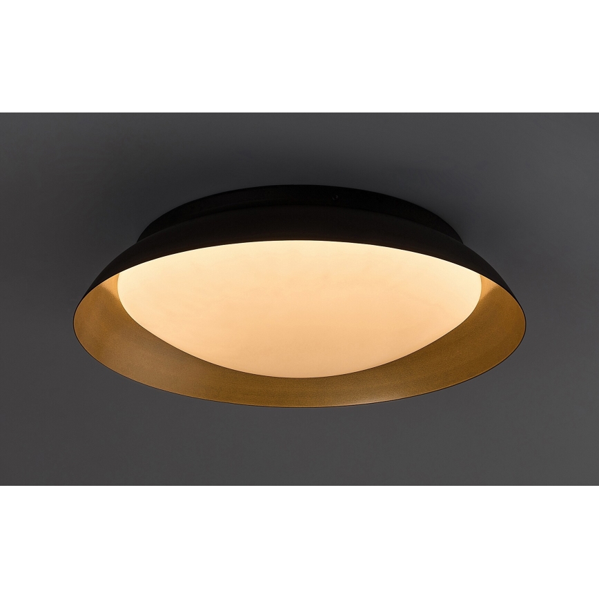 Rabalux - LED plafonska svetiljka LED/20W/230V 3000K prečnika 30 cm