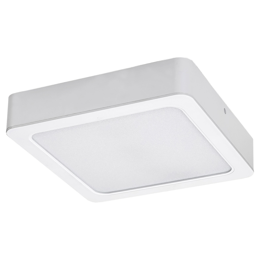 Rabalux - LED plafonsko svetlo LED/24W/230V 4000K 22x22 cm belo