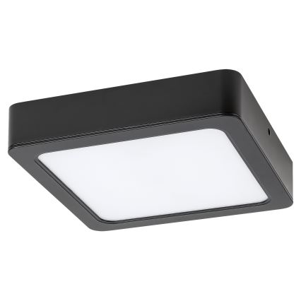 Rabalux - LED plafonsko svetlo LED/24W/230V 4000K 22x22 cm crna