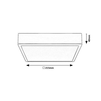 Rabalux - LED plafonsko svetlo LED/22W/230V 3000/4000/6000K 21x21 cm belo
