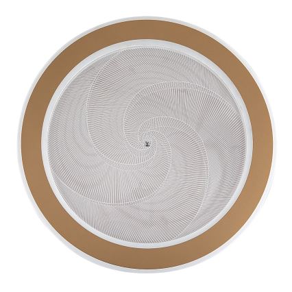 Rabalux - prigušiva LED stropna svetiljka 24W/230V 3000-6500K, prečnik 40 cm + daljinski upravljač