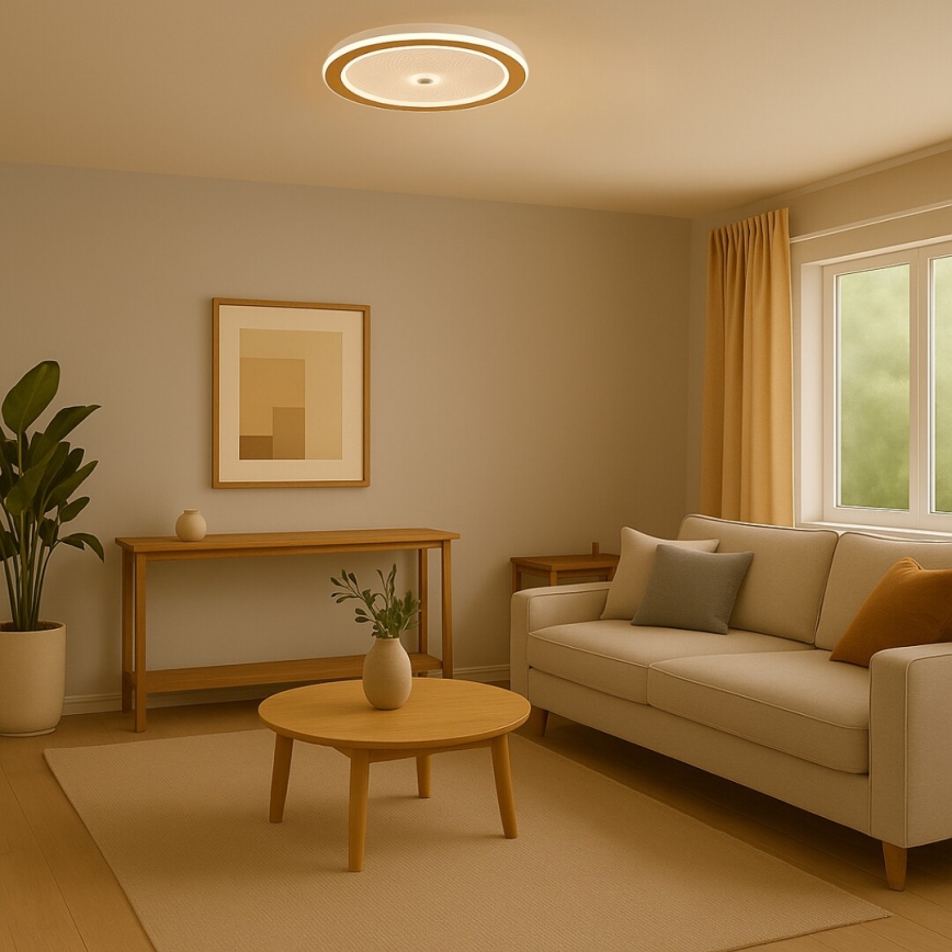 Rabalux - Prigušiva stropna LED svetiljka LED/34W/230V 3000-6500K Ø51 cm + daljinski upravljač