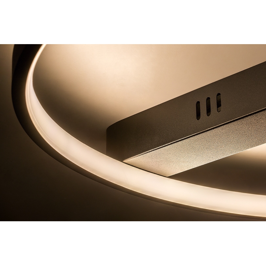 Rabalux - LED plafonsko svetlo LED/45W/230V 3000K 50x55 cm crno